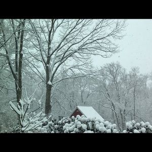 Meet your Posher, Sofia